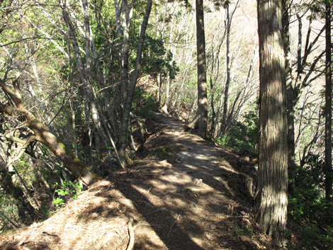 20161206hike (157)